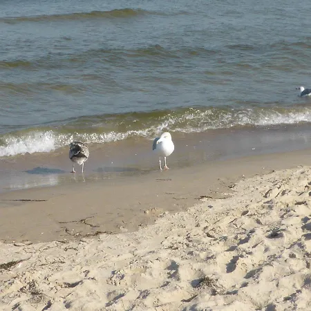 Haus Annekathrin * Bannemin