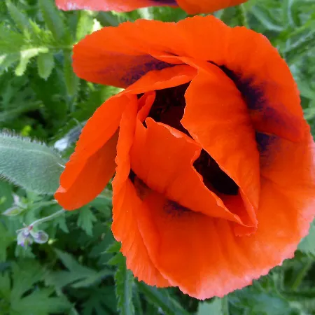 Apartment Haus Annekathrin